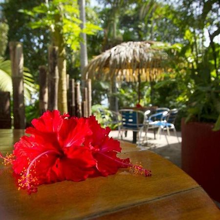 Puerto Viejo de Talamanca Villas Del Caribe מראה חיצוני תמונה
