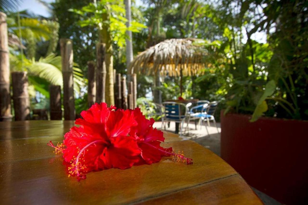Puerto Viejo de Talamanca Villas Del Caribe מראה חיצוני תמונה