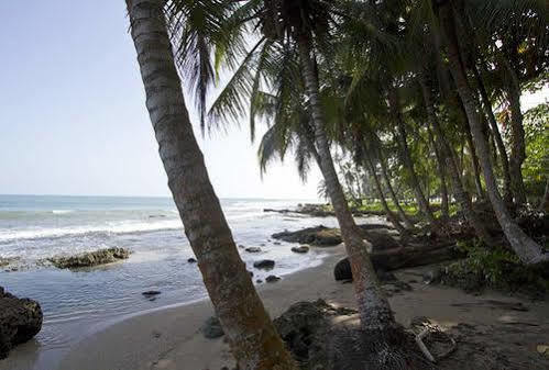Puerto Viejo de Talamanca Villas Del Caribe מראה חיצוני תמונה